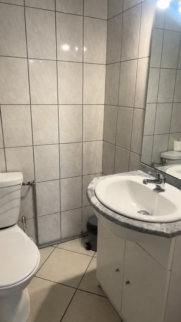 Toilette de la maison rénover
